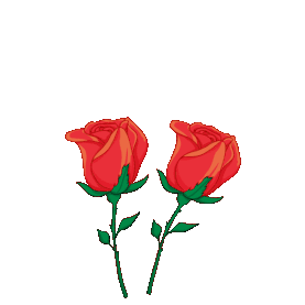 爱情情人节花朵花爱心玫瑰gif图素材