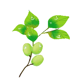 春天雨水谷雨医美护肤成分植物原料橄榄果植物gif图素材图片