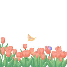 春天植物郁金香花丛中蝴蝶飞舞gif图素材图片