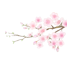 春天春季樱花树枝摇摆樱花gif图素材