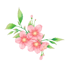 春天浪漫粉色樱花花朵图片