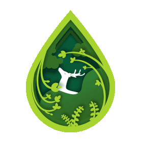 春天春季雨水植物泉水水滴剪纸大自然鹿保护环境保护动物绿色gif图素材
