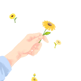 春天手握小雏菊花朵菊花gif图素材图片