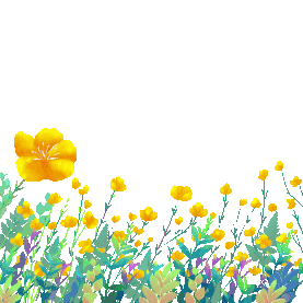春天春景唯美治愈草原上的野花花朵花gif图素材