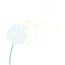 春天植物花朵彩色蒲公英随风飘散gif图素材