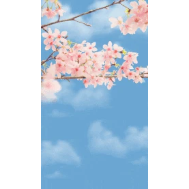 实景春天樱花花朵花枝蓝天白云竖版视频背景海报gif图素材