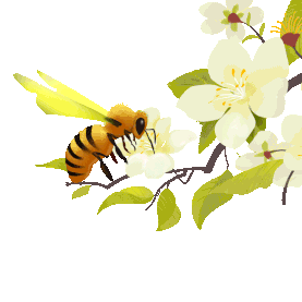 春天蜜蜂采蜜花朵植物花草树枝春季昆虫gif图素材