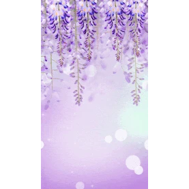 春天紫藤花鲜花花朵藤本植物唯美浪漫紫色竖版视频背景海报gif图素材