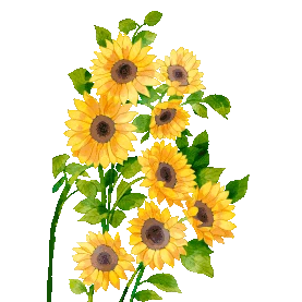 花卉植物向日葵gif图素材