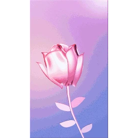 七夕浪漫渐变玫瑰花3D立体C4D竖版视频背景海报图片