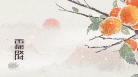 霜降二十四节气柿子下雪落雪雪花唯美横板视频背景海报gif图素材图片