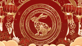 新年兔年鵉金喜庆灯笼节日视频背景gif图素材