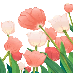 粉色郁金香花海花朵简约gif图素材