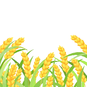 芒种麦穗小麦稻谷二十四节气植物gif图素材