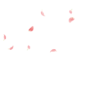 春天春季粉色漂浮的桃花瓣飘落简约gif图素材