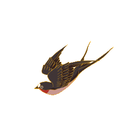 春天燕子鸟小鸟动物gif图素材