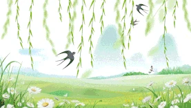 简约清明节清明燕子春天绿色视频背景中国风gif图素材图片