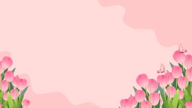 粉红色花朵的郁金香浪漫背景gif图简约gif图素材