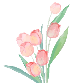 鲜花花朵玫瑰花植物水彩风gif图素材
