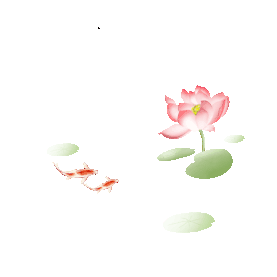 夏至节气标题 二十四节气荷花金鱼荷叶中国风毛笔字标题gif图素材